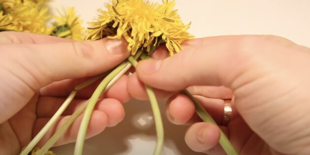 Як сплести вінок з кульбаб: вплетіть дві квітки