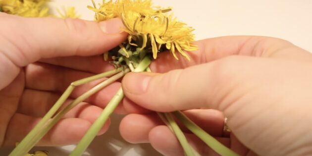 Як сплести вінок із кульбаб: додайте ще дві квітки