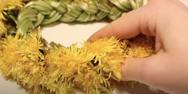 Як зробити вінок із кульбаб: приховайте косу квітами
