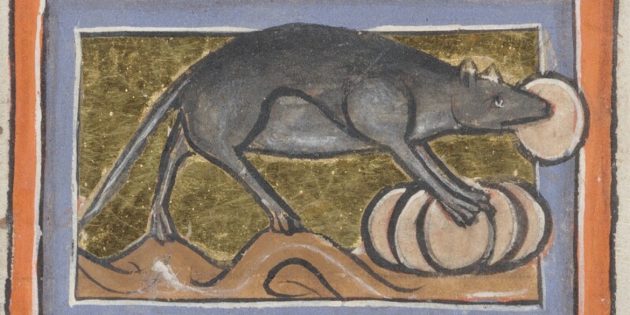 5 тварин, яких у Середньовіччі представляли дивно