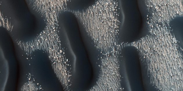 Знахідки на Марсі: «слимаки»