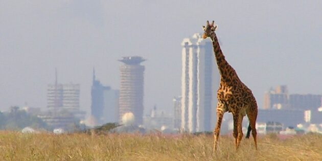 Найнебезпечніші міста світу: Найробі, Кенія