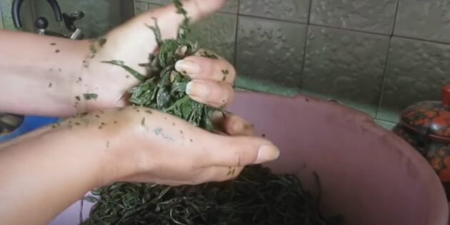 Як ферментувати іван-чай: скрутіть листя у кулі