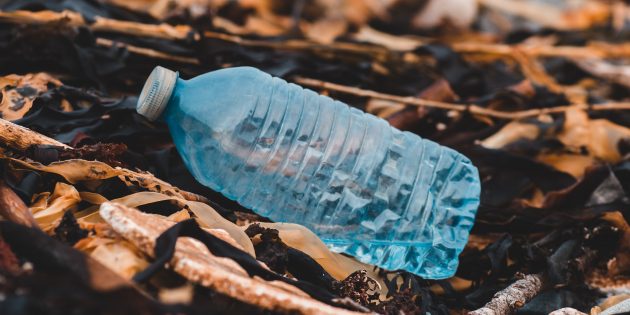 Дивні наукові факти: із пластикових пляшок можна робити ароматизатор зі смаком ванілі