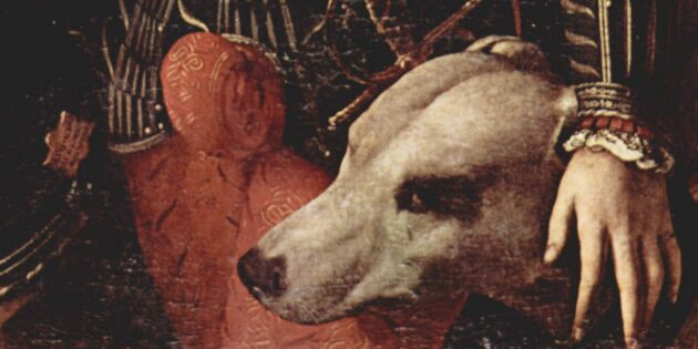 Герцог Гвідобальдо II делла Ровере та його собака.  Портрет роботи Анджело Бронзіно (1531–1532)